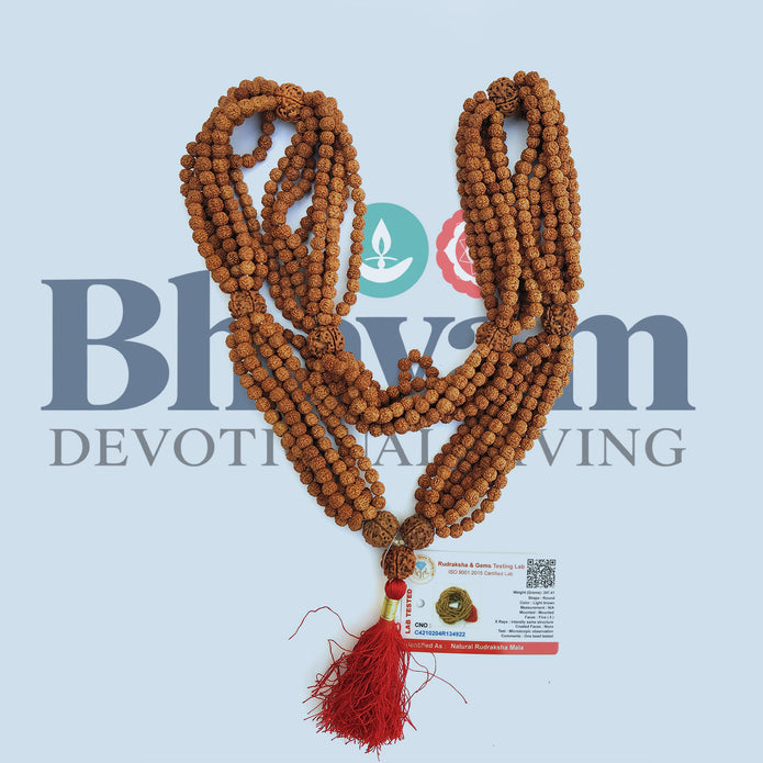 1008 Rudraksha Mala – Natural 5 Mukhi