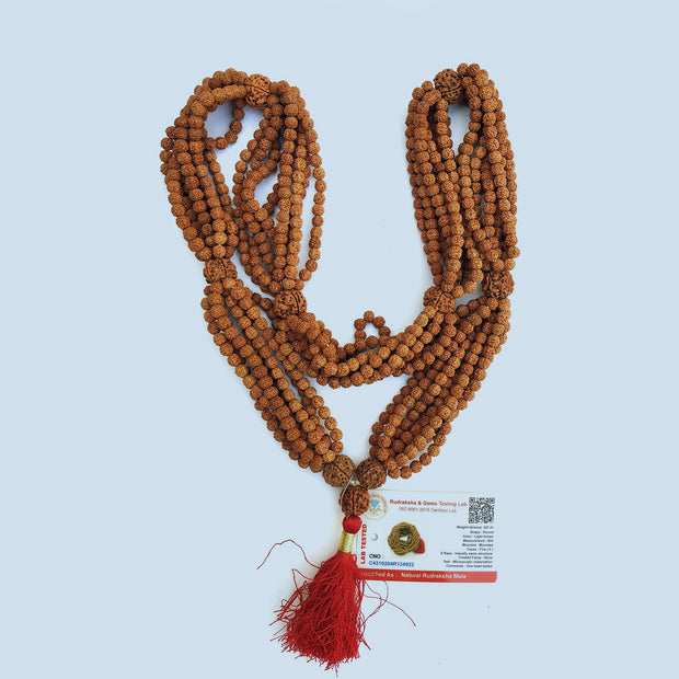 1008 Rudraksha Mala – Natural 5 Mukhi
