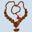 1 - 14 Mukhi Rudraksha Mala