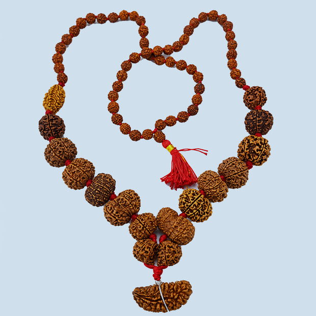 1 - 14 Mukhi Rudraksha Mala