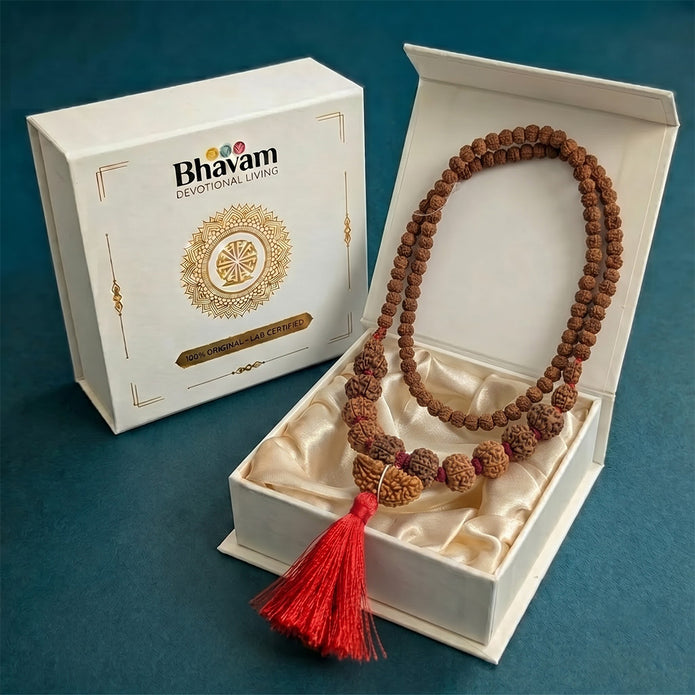 1 - 14 Mukhi Rudraksha Mala