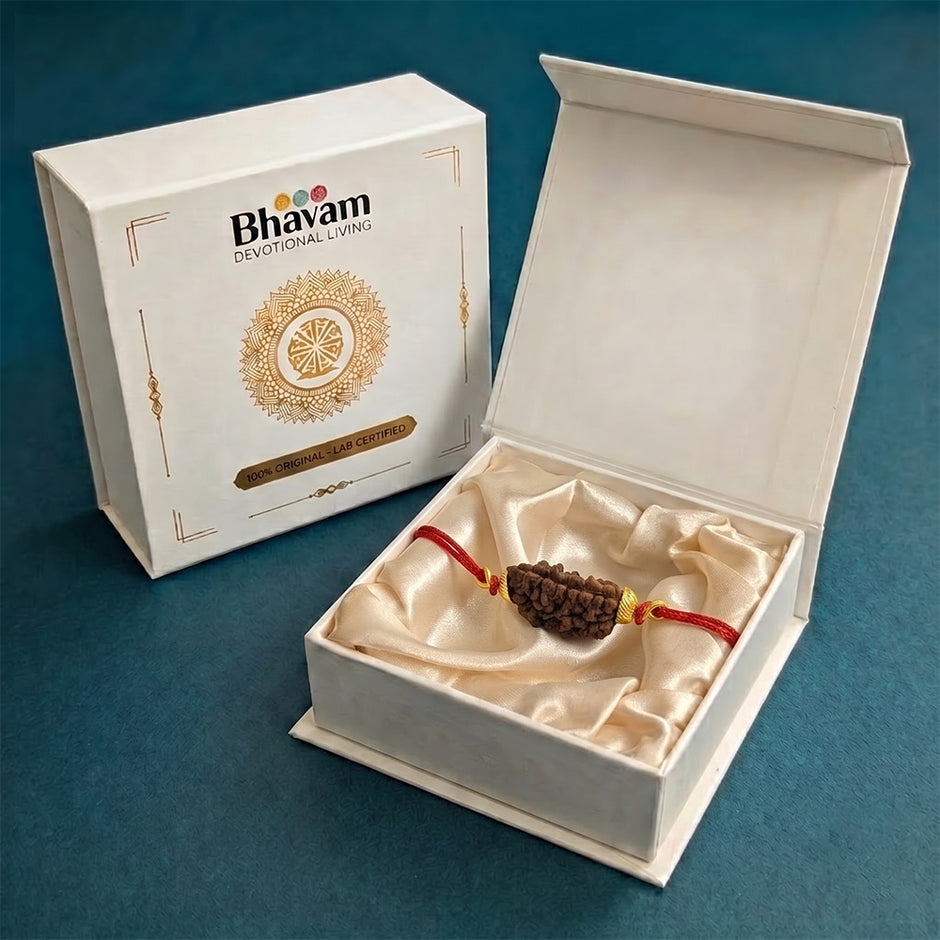 EkMukhi Daana Single with Silk, Gold Cap