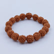 Pathri Rudraksha Bracelet, Smoother Surface