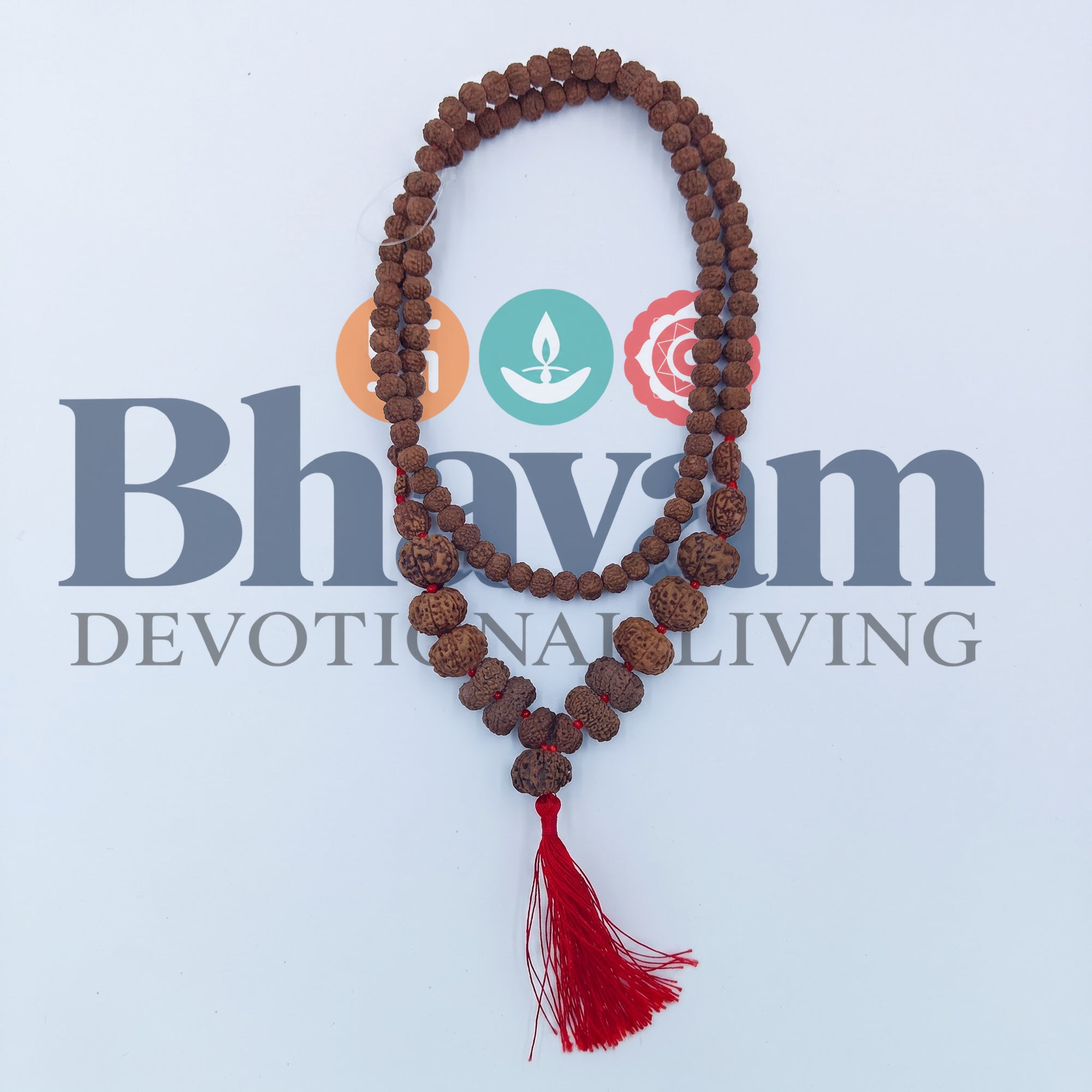 1 - 14 Mukhi Rudraksha Mala