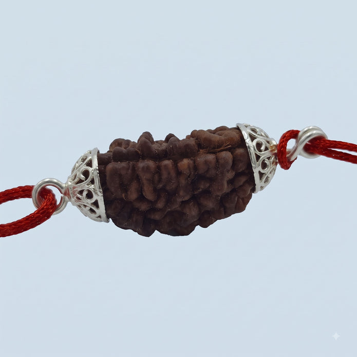 EkMukhi Daana Single with Silk, Silver Cap