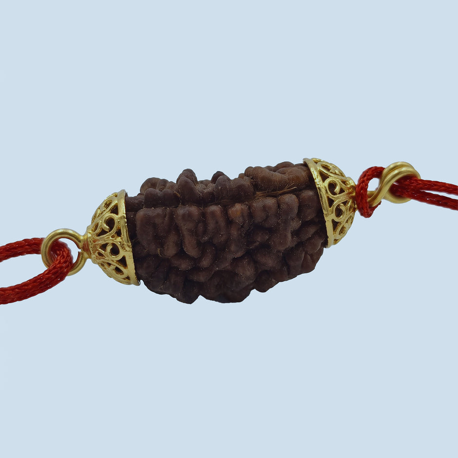 EkMukhi Daana Single with Silk, Gold Cap