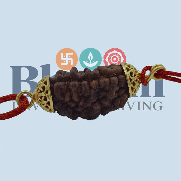 EkMukhi Daana Single with Silk, Gold Cap