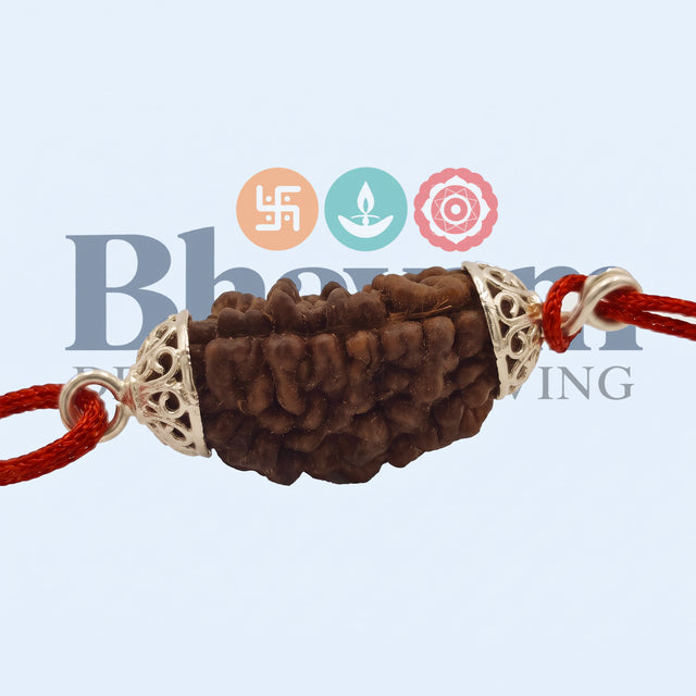 EkMukhi Daana Single with Silk, Silver Cap