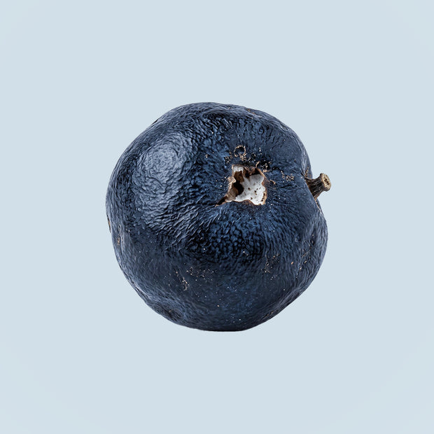 Surprise Rudraksh Fruit Natural