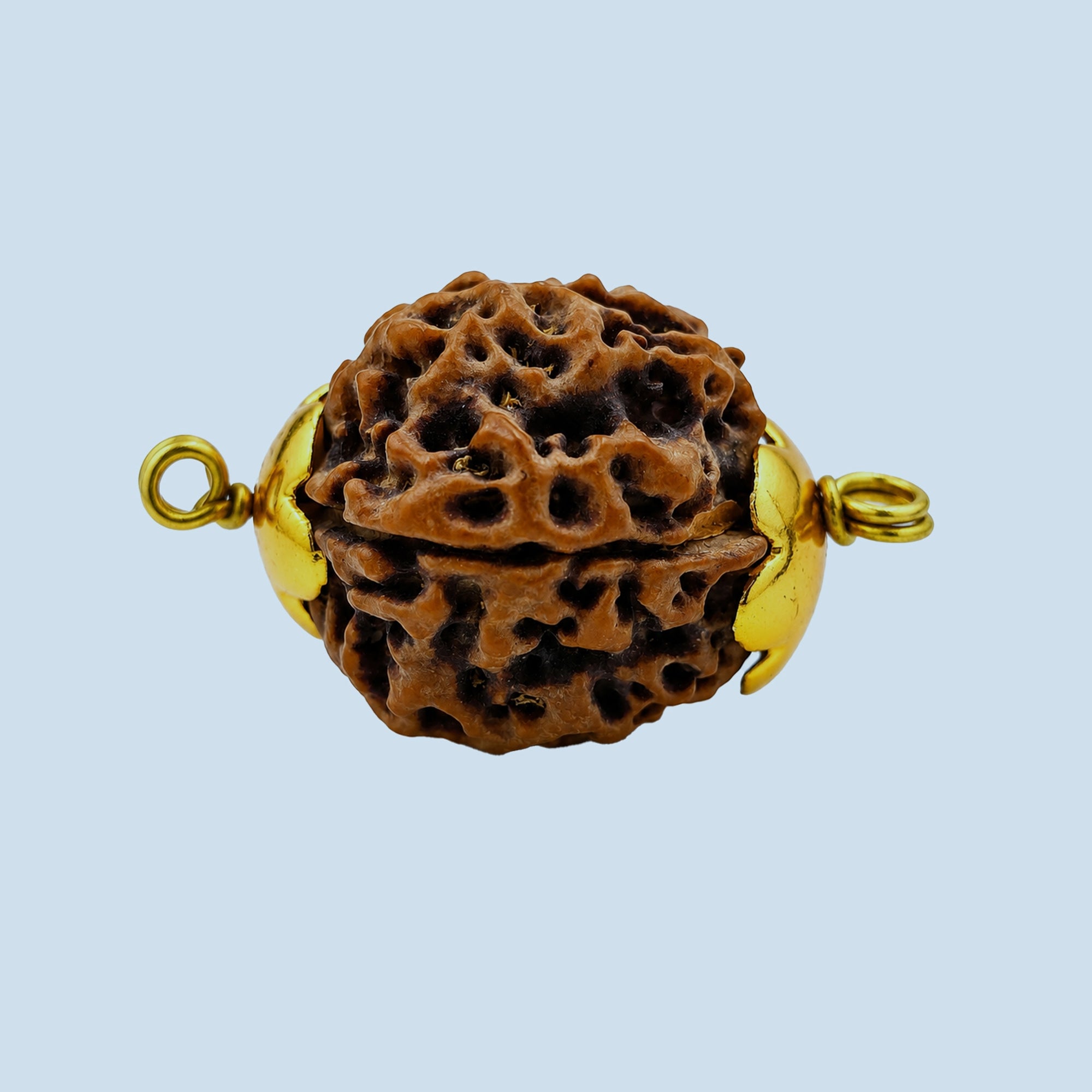 Daana Gold Cap Panchamukhi – Small | 5 Mukhi Rudraksha