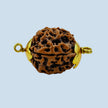 Daana Gold Cap Panchamukhi – Small | 5 Mukhi Rudraksha